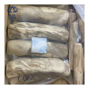 Bâton à mâcher en bois de café pour chiens, très populaire, jouet durable pour la dentition, favorise le nettoyage dentaire et réduit le stress chez les animaux domestiques 2026 - Product Image 3