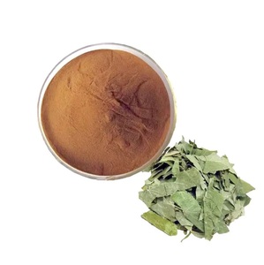 OEM Wholesale Horny Goat Weed Powder Natural & Pure Food Grade Epimedium Powder Bulk Supply for Muscle & Bone Health Support - Product Image 3