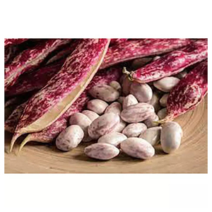 Frijoles Pinto de Calidad Superior Ampliamente Utilizados, Frijoles Pinto Ligeros con Motas, Venta al por Mayor - Product Image 4