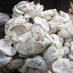 Caoutchouc naturel en mèches, qualité calandrage, résistance à la traction 30MPa, résistance au vieillissement et à l'usure, traitement industriel, 50kg/sac |   En vrac - Product Image 2