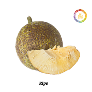 Morceaux de fruit à pain surgelés de taille uniforme pour améliorer l'efficacité de la cuisine - Product Image 6