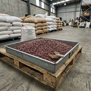Haricots rouges séchés de qualité supérieure pour l'exportation, qualité industrielle, emballés sous vide, propres et sûrs, pour importateurs en gros - Product Image 5