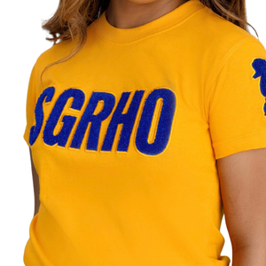 Camiseta de chenilla con mangas tipo poodle de Sigma Gamma Rho SGRHO para mujer, mezcla de algodón dorado, manga corta, estilo casual y elegante. - Product Image 2