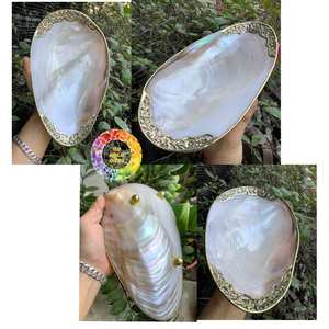 High Gloss Mother of Pearl Caviar Plate Fish Flower Art Long Stand Mirror Polish Custom Logo Dining Utensil Storage - CARYLN - Product Image 6