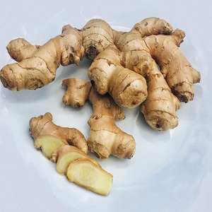 Jengibre Fresco Orgánico de Alta Calidad, Calidad Premium de Francia, Suministro al por Mayor, Cosecha Reciente, 100% Puro, Natural, Grado Alimenticio - Product Image 2