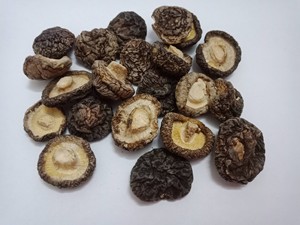 เห็ดชิตาเกะอบกรอบรสเกลือทะเล ขนมเห็ดพรีเมียมทอดสุญญากาศ - Product Image 4