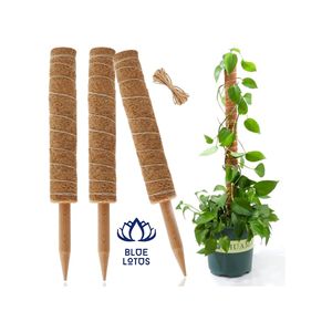 Poste de Musgo de Coco Ecológico Blue Lotus, ¡EN OFERTA! |   Poste de Soporte para Plantas, Simple, Moderno, de Lujo, Natural, Hecho a Mano, para Jardinería - Product Image 1
