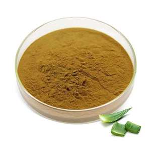 Polvo de Aloe Vera de Alta Calidad para el Cuidado Facial, Cuidado del Cabello, Suplementos Dietéticos y Formulaciones Herbales Disponible en Grandes Cantidades - Product Image 1