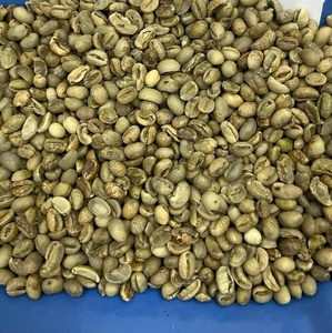VIETNAM ARABICA <b>COFFEE</b> ROASTED | LIGHT & MEDIUM ROAST | WHOLESALE SPECIALTY SINGLE ORIGIN <b>BEANS</b> - Product Image 2
