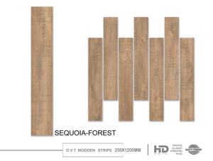 Azulejos de Porcelana Vitrificada Digital Modernos de 200X1200MM para Pisos, Ideales para Proyectos de Arquitectura y Diseño de Interiores - Product Image 5