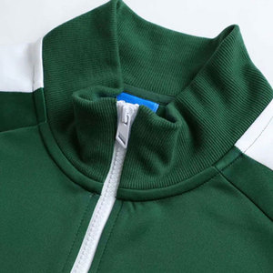 Conjunto Deportivo de Alta Calidad al por Mayor, Fabricantes OEM, Conjunto de 2 Piezas para Hombre, Sudadera con Capucha y Pantalones Deportivos de Forro Polar Grueso, Traje Deportivo con Cremallera para Hombre - Product Image 5