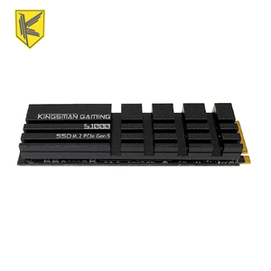 SSD Interno NVMe M.2 de 4 TB PCIe Gen5x4 con Disipador de Calor para Estaciones de Trabajo y Juegos - 14000 MB/s de Lectura/13000 MB/s de Escritura - Product Image 1