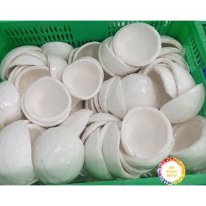 Proveedor de Carne de Coco Congelada de Vietnam, Producto Tropical para Bebidas, Postres y Distribución al por Mayor - Product Image 4