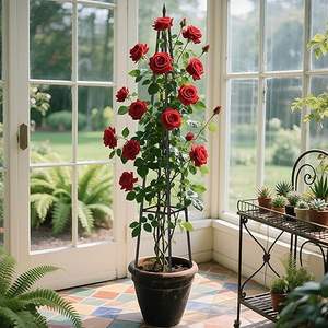 Obélisque décoratif en métal pour plantes d'extérieur/d'intérieur, support pour plantes en pot et plantes grimpantes - Product Image 1