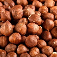 Noisettes grillées salées biologiques de haute qualité, noisettes séchées biologiques brutes pour la vente en gros alimentaire, noisettes salées savoureuses