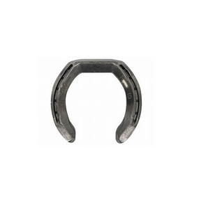 Plaque de course orthopédique à talon compensé RV-72 Modèle Renix International, Outils de fermeur vétérinaire, En stock, Soins équin hospitaliers - Product Image 2