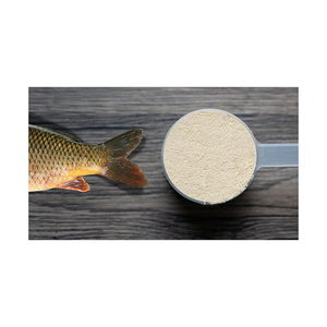 Collagène de poisson de qualité professionnelle, peptides en vrac, haute pureté, prêt à l'exportation - Product Image 4