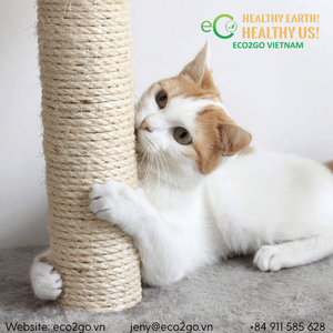 Condo et arbre d'activités pour chat en bois de design haut de gamme, matériaux naturels, produits pour animaux de compagnie en gros - Product Image 3