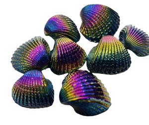 Aura Titanium Coated Shell Precio al por mayor Titanium Coated Shells Fabricación de joyas Shell Unique Aura Sells - Product Image 1