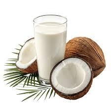 NATURAL COCONUT MILK EXPORT <b>QUALITY</b> OEM & PRIVATE LABLE AVAILABLE - Product Image 3