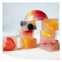 Vietnam Nata De Coco in siroop, kokosgelei blokjes selectie, aanpasbaar, 1KG verpakking, lange houdbaarheid voor dranken & desserts