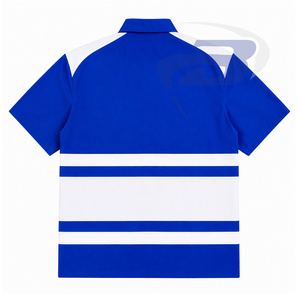 Zeta Phi Beta ZPB Sorority Women's Striped Button <b>Down</b> Shirt Short Sleeve Blue White Color blocking Casual Spring Summer T-shirt - Product Image 3