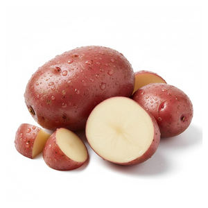 Fournisseur en gros de pommes de terre fraîches de ferme, légumes frais très demandés, en grandes quantités - Product Image 2