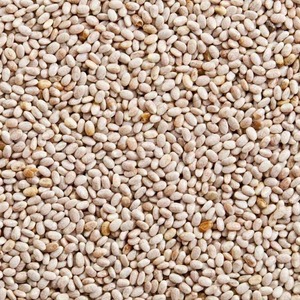 Semillas de Chía Blancas Naturales a Granel, Superalimento Vegetal de Primera Calidad para Adultos, Smoothies, Repostería, Desayuno, Nutrición Saludable - Product Image 3