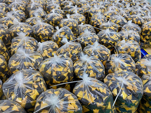 Dried Mango Slices Coated with Dark <b>Chocolate</b> Elongated Shape Sweet Preserved Fruit Nutritious Origin Fruit - Product Image 6