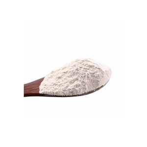 Poudre d'ail de haute qualité, ail déshydraté naturel, assaisonnement pour la transformation alimentaire, distribution en gros - Product Image 6