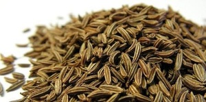 manufacturers wholesale buy <b>diffuser</b> aromatherapy organic natural 100% puregrade Caraway Egypt <b>essential</b> <b>oil</b> - Product Image 2