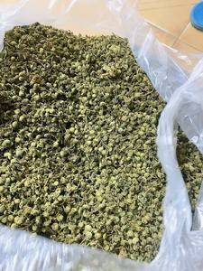 โสม Panax และดอก pseudoginseng ตากแห้งเพื่อสุขภาพ - Product Image 2