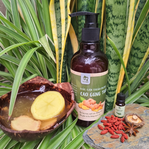 SHAMPOOING AU GINGEMBRE FRAÎCHE VIETNAM |   SOINS DES CHEVEUX ET DU CUVEAU CAPILLAIRE GRAS - Product Image 3