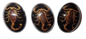 Scorpion doré, spécimen réel, cabochon en plastique ovale 30x40 mm, fond plat noir, moderne, multi-occasions pour l'artisanat et la fabrication de bijoux - Product Image 4