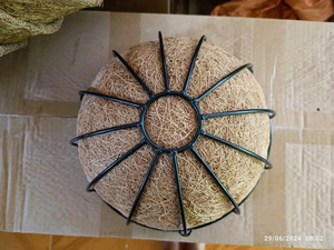 Pot en fibre de coco EcoGrow, solution de jardinage durable - Product Image 6