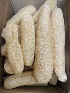 Esponja de Luffa Natural Premium, Ecológica y Biodegradable, para Exfoliación Corporal y Limpieza de Cocina - Product Image 5
