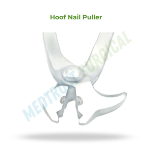 Extractor de Clavos de Pezuña de 14 Pulgadas, Herramienta de Herrador, Instrumento Veterinario para el Cuidado de Pezuñas, para la Extracción de Herraduras de Caballos - Product Image 2