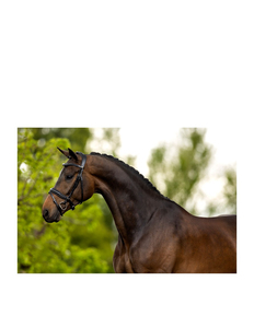 Têtière de spectacle pour cheval Western de qualité supérieure, en cuir, avec boucles argentées, design fantaisie à double oreille coulissante - Product Image 6