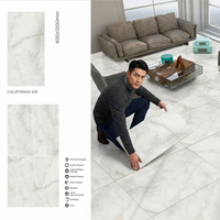 Dalles de sol et de mur en porcelaine grand format California Ice 600x1200mm, 12mm d'épaisseur, antidérapantes, brillantes et polies