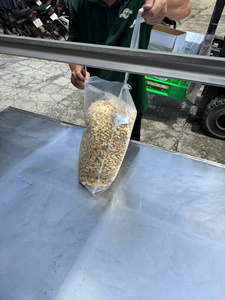 Vietnam Organic Raw Cashew Nut High Quality W320 W240 <b>LP</b> for Export Wholesale - Product Image 4