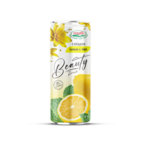 Boisson rafraîchissante au collagène Nawon saveur citron menthe 250ml – Boisson saine et beauté pour importateurs internationaux (vente en gros)