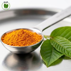 Extracto Herbal de Primera Calidad, Polvo de Hoja de 7-OH MIT, 80% Natural, Extracción por Solvente, Envasado al Vacío, Grado Farmacéutico AuE TH - Product Image 4
