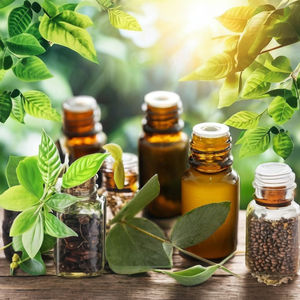 Alcaloides de ingrediente activo de extracto de hierbas de eucalipto extraído de CO2 de calidad alimentaria en lata, producto de extracto de planta de embalaje - Product Image 4