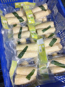 Maíz dorado dulce de Vietnam/IQF congelado/alta calidad al mejor precio - Product Image 5