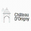 CHÂTEAU D'ORIGNY logo