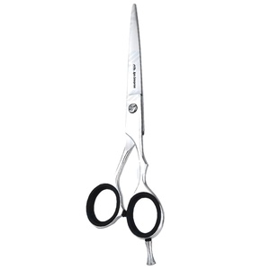 Ciseaux de coiffeur professionnels de toilettage 6 pouces en acier inoxydable ciseaux de coupe de cheveux et de coiffure Instruments de beauté - Product Image 1