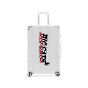 Massive Class Unique Quality Aluminium Travel Bags Polycarbonate ABS Resin Material <b>Suitcase</b> Luggage - Product Image 3