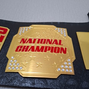 Cinturón de Campeonato Personalizado para Taekwondo, Judo, Boxeo, MMA, Jiu-Jitsu y Lucha Libre, 2 cm de Grosor, Forro de Piel Sintética, Fabricante y Proveedor OEM - Product Image 2