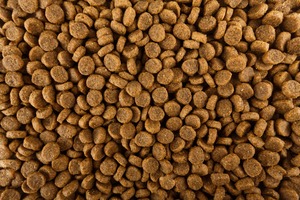 Nourriture sèche pour chiens de qualité supérieure OEM ODM, riche en protéines, mélange naturel sans céréales, pour le développement musculaire des petites races, vente en gros, nutrition pour animaux de compagnie - Product Image 5