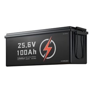 Batteria al Litio LiFePO4 24V 100Ah per Camper con BMS 50A e Protezione da Basse Temperature - Product Image 6